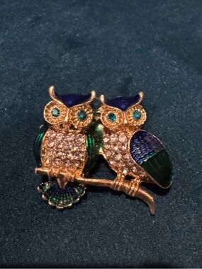Vintage Gold-Tone Owl Duo Brooch with Green & Blue Enamel and Crystal Accents 🦉💙